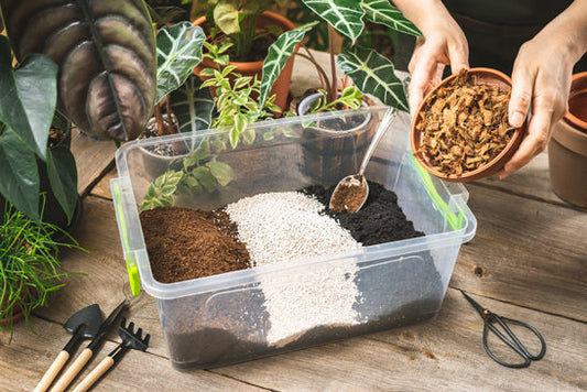 A clear rectangular container filled with different pieces of soil mix. Perlite, Coco coir, worm castings. And there are two hands at the top right with a bowl filled with orchid bark. 