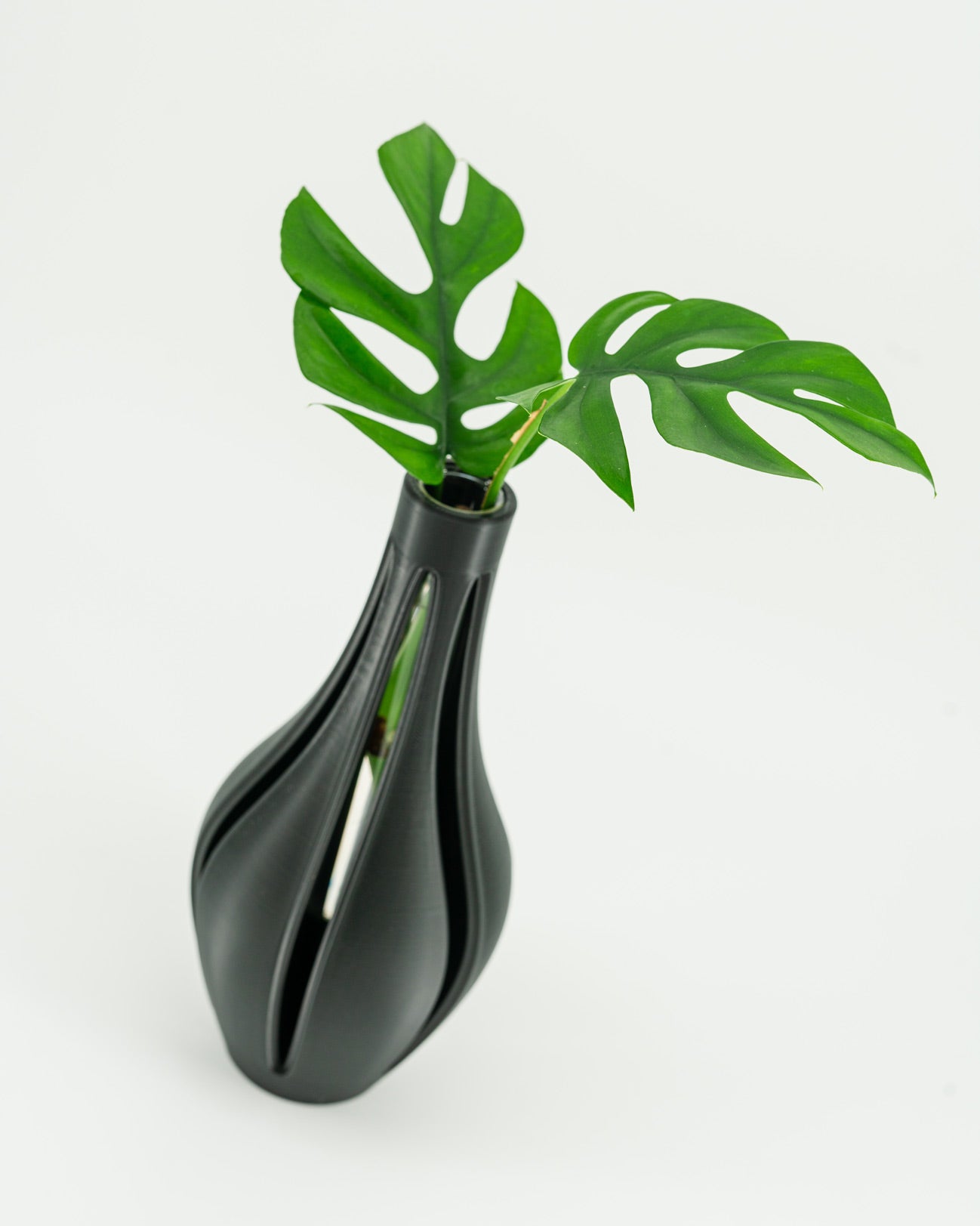 Propagation Vase