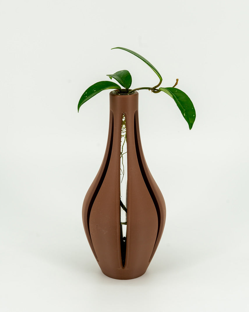 Propagation Vase