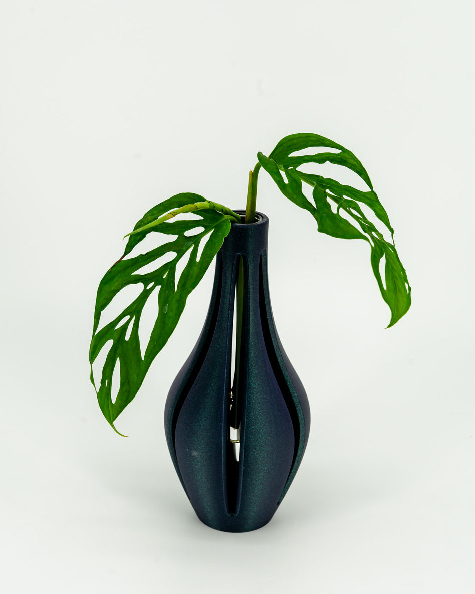 Propagation Vase