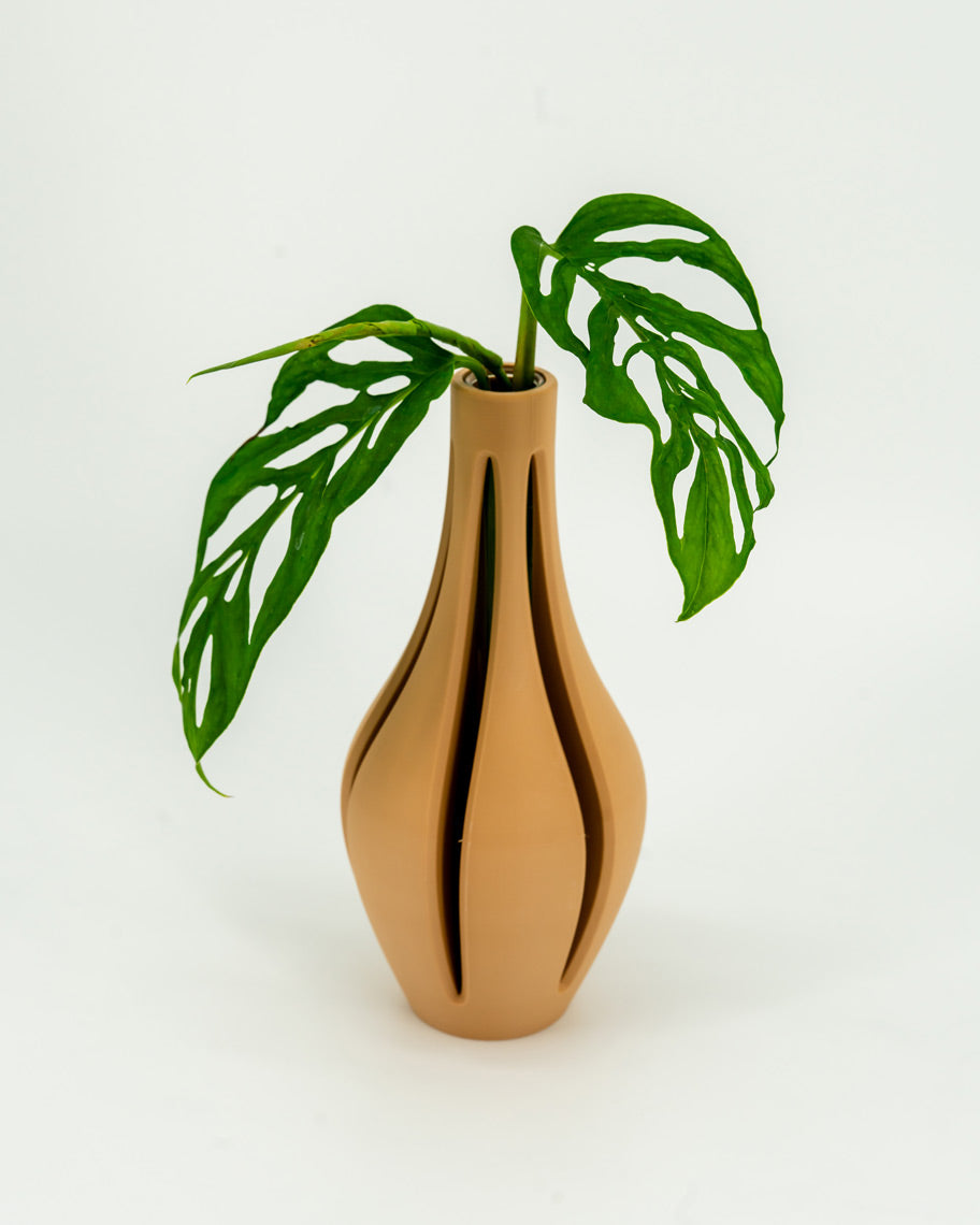 Propagation Vase