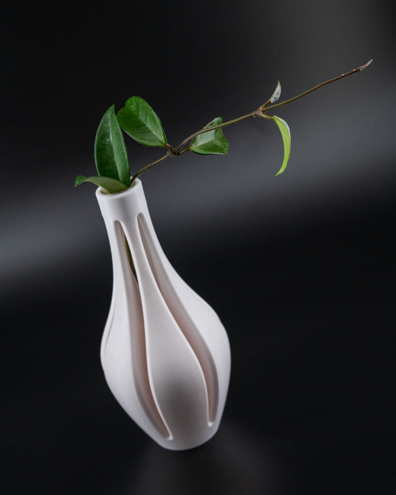 Propagation Vase