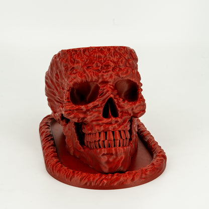 Sci Fi Skull Planter and Tray