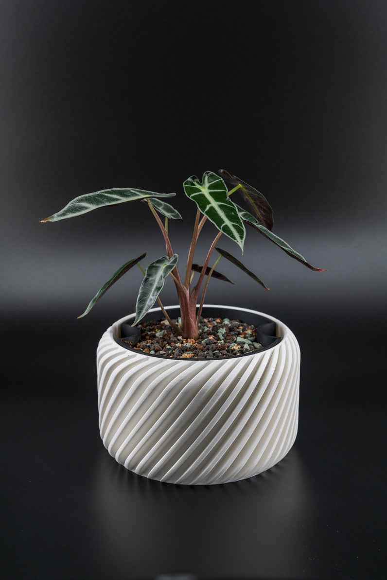 self-watering plant pot Diagonal Swipe Self-Watering Pot | Miyagi's Garden Oreo