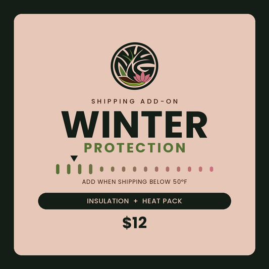 Miyagi's Garden winter plant shipping protection — insulation and heat pack add-on